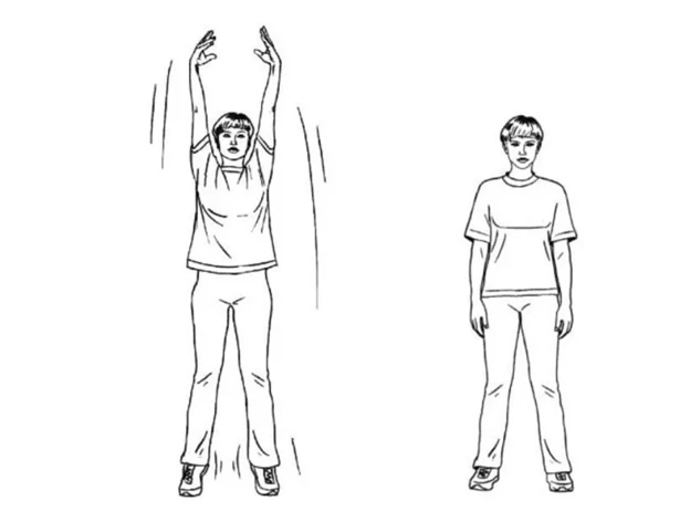 Растяжка рук вверх.